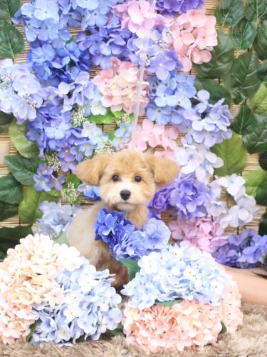 20250615むぎちゃん